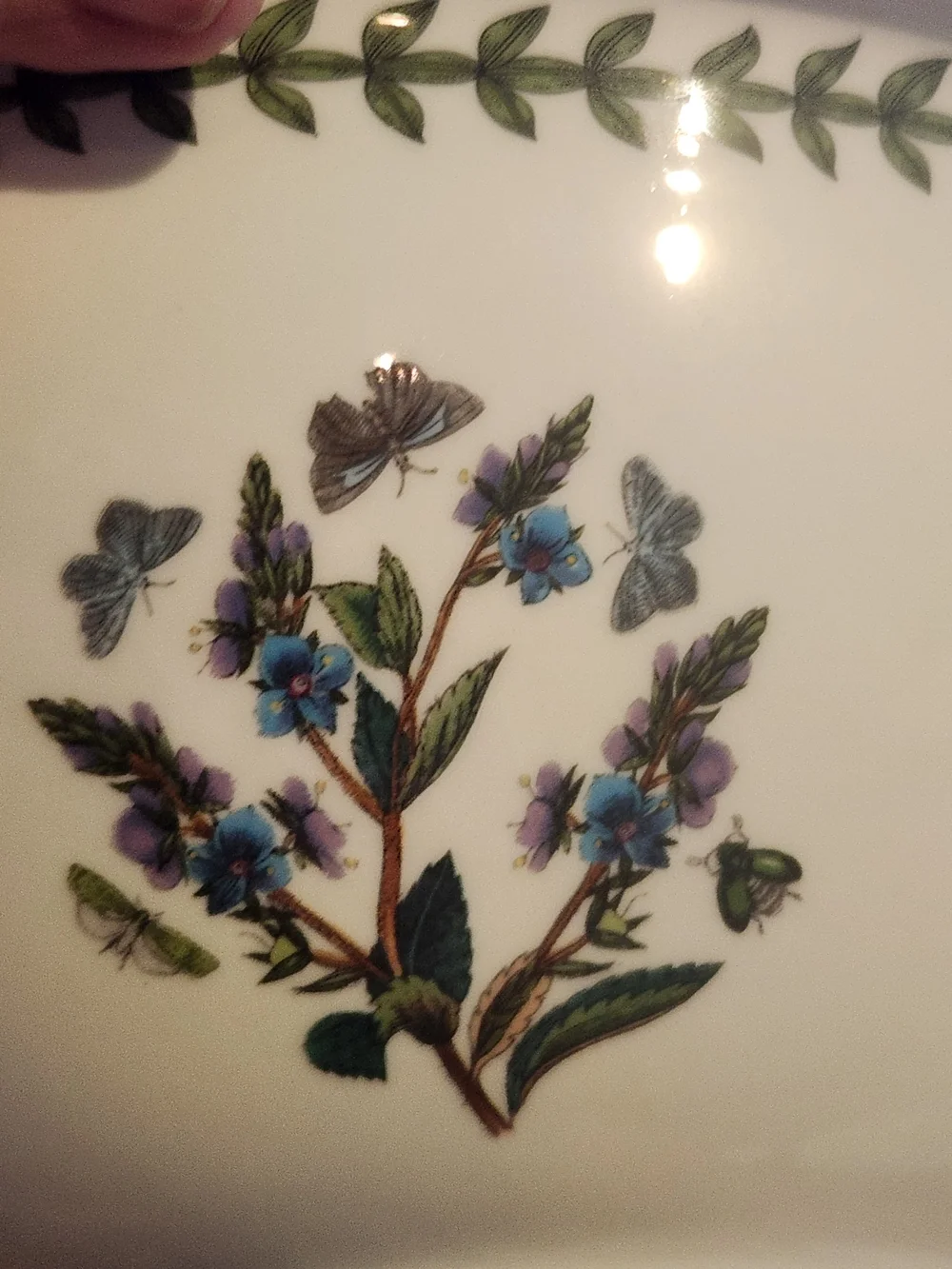 Portmeirion Botanic Garden Clematis Florida Oval 4pt / 2.3L Casserole w Lid NIB